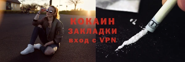 ПСИЛОЦИБИНОВЫЕ ГРИБЫ Дмитров